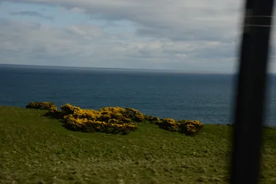 DSC_7264 (Large).JPG